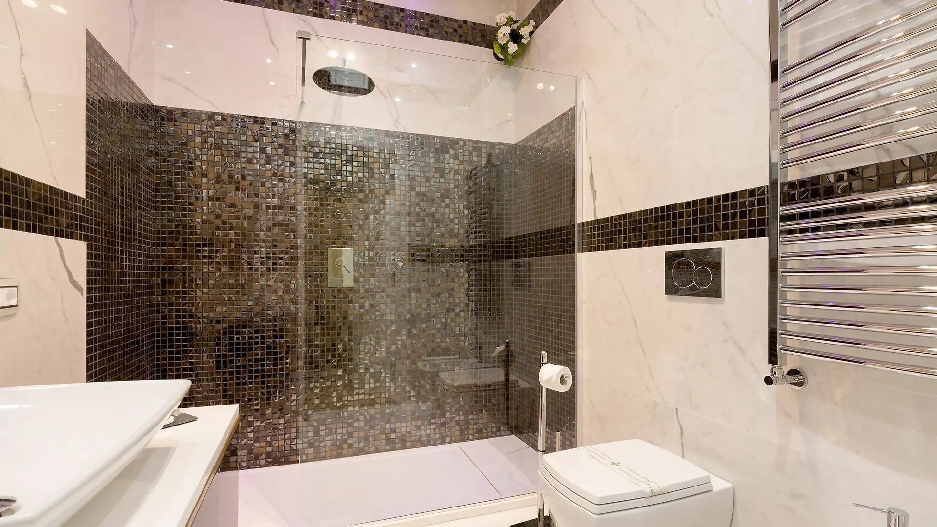 B&B Luxury Piazza Venezia 罗马